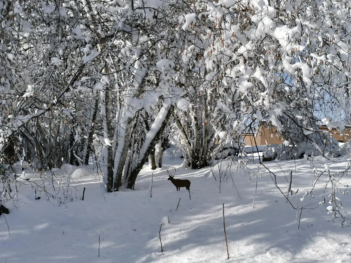 Auvergne Chalets Sancy Bagnols  0*, Bagnols (Puy-de-Dome)