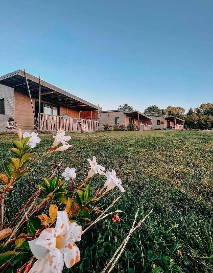 Auvergne Chalets Sancy Bagnols