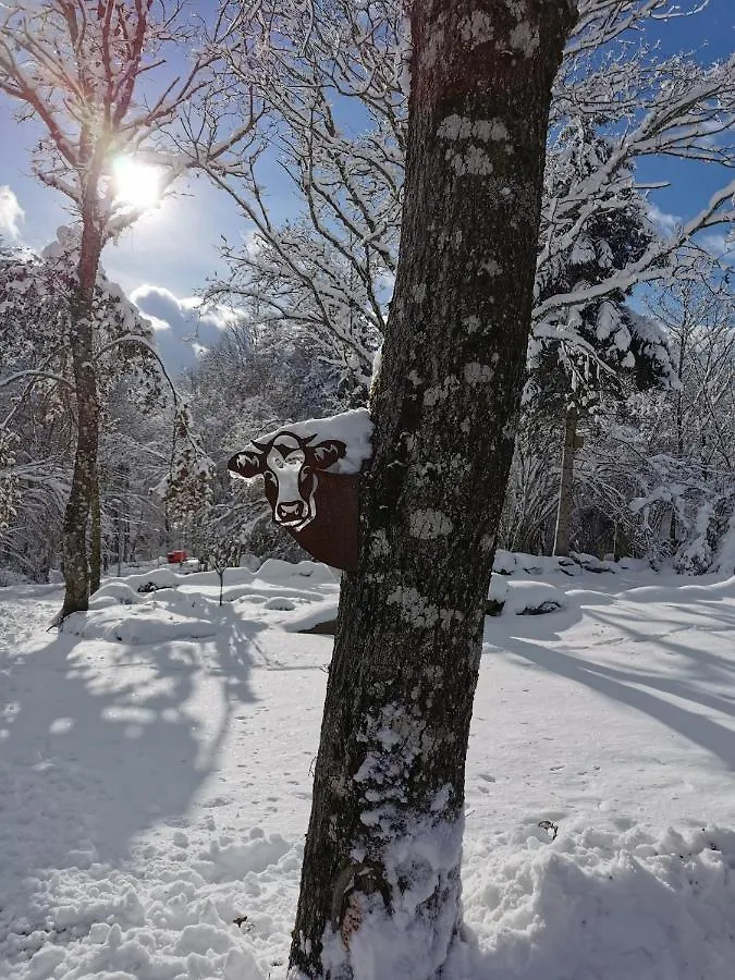 Auvergne Chalets Sancy Bagnols  Campsite Bagnols (Puy-de-Dome)